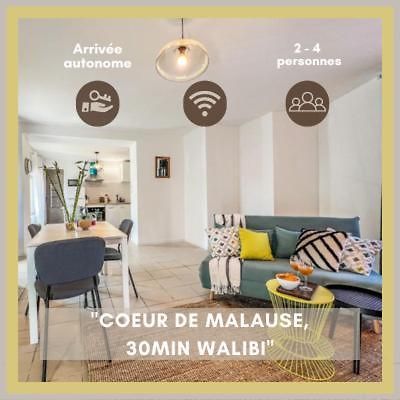 Le Gite 1 - Appartement T2 De 53M2, Ideal Pro Ou Couples, Coeur De Ville Et Proche Golfech Malause Exterior foto